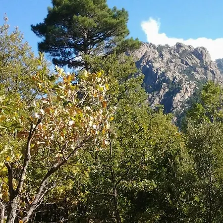De Caralba Piscine Ghisoni