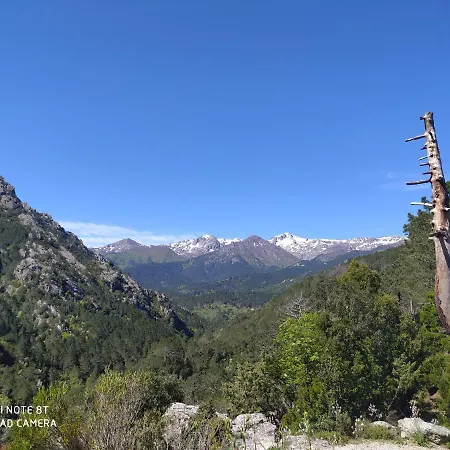 Alpehytte De Caralba Piscine Ghisoni