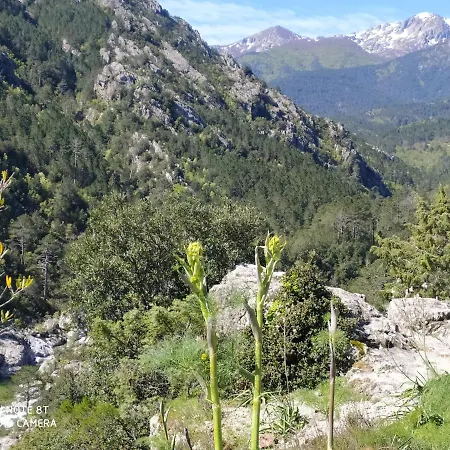 Alpehytte De Caralba Piscine *