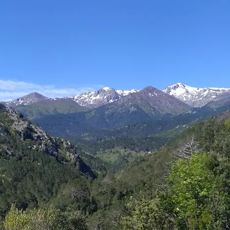 De Caralba Piscine Alpstuga Ghisoni