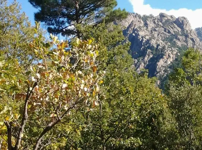 De Caralba Piscine Ghisoni