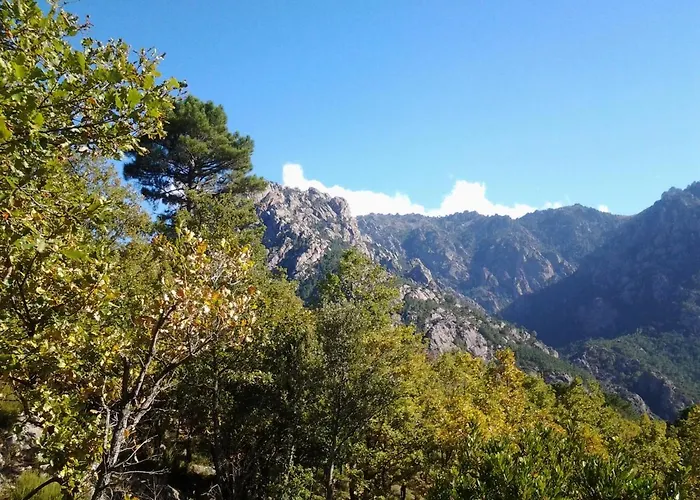 De Caralba Piscine Ghisoni