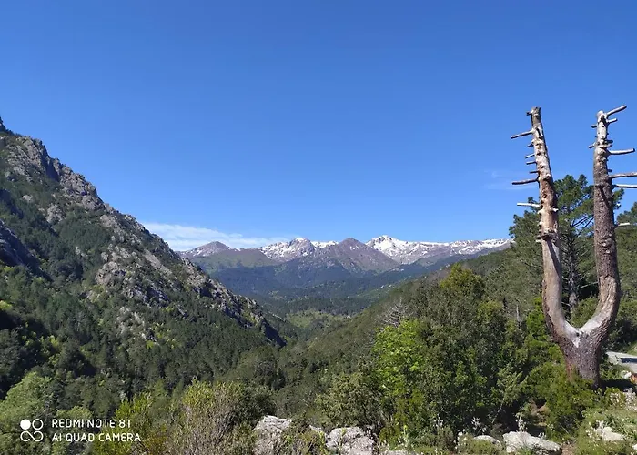 Шале De Caralba Piscine Ghisoni