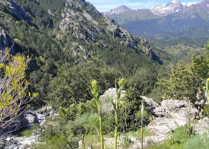 Chalet De Caralba Piscine *